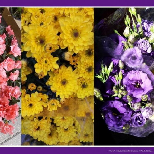 Imagens: os cenários Imagens: os cenários